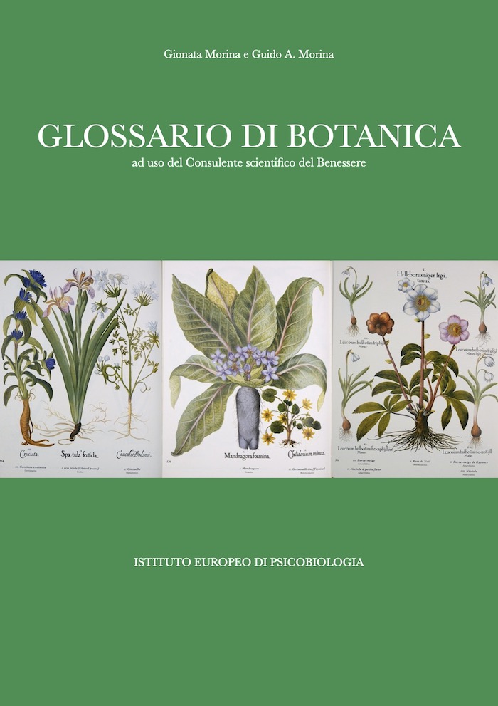 Glossario di botanica