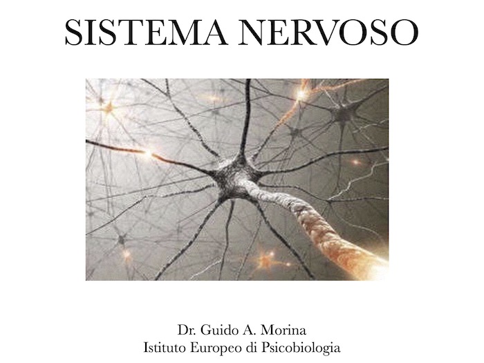 Naturopatia e Sistema nervoso