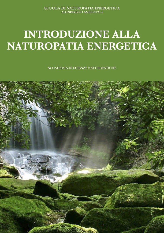 Introduzione alla naturopatia energetica