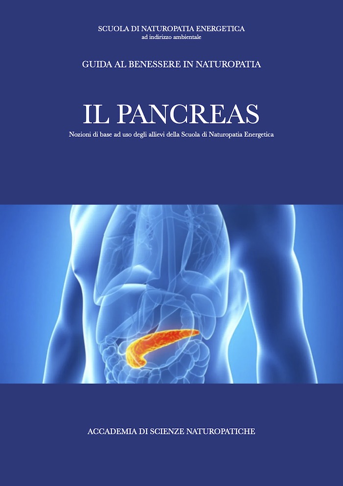 Il pancreas in naturopatia