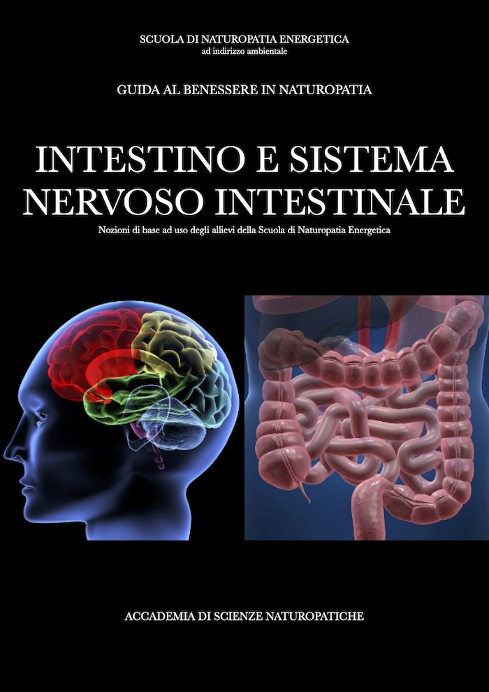Naturopatia, Intestino e sistema nervoso