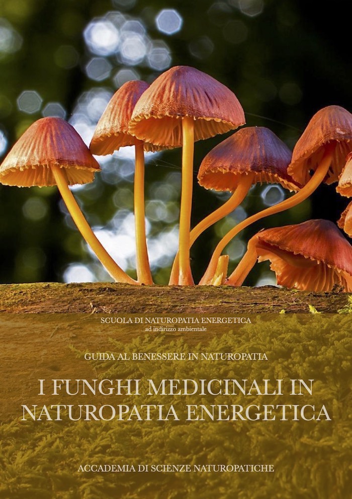 Funghi medicinali in naturopatia energetica
