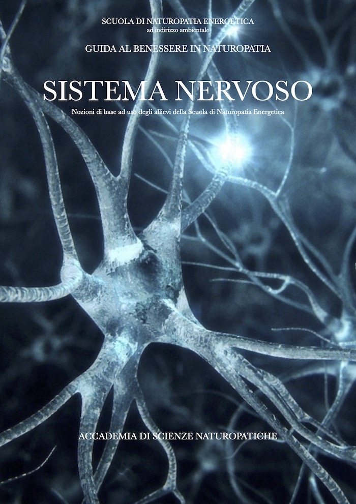 Sistema nervoso in naturopatia 