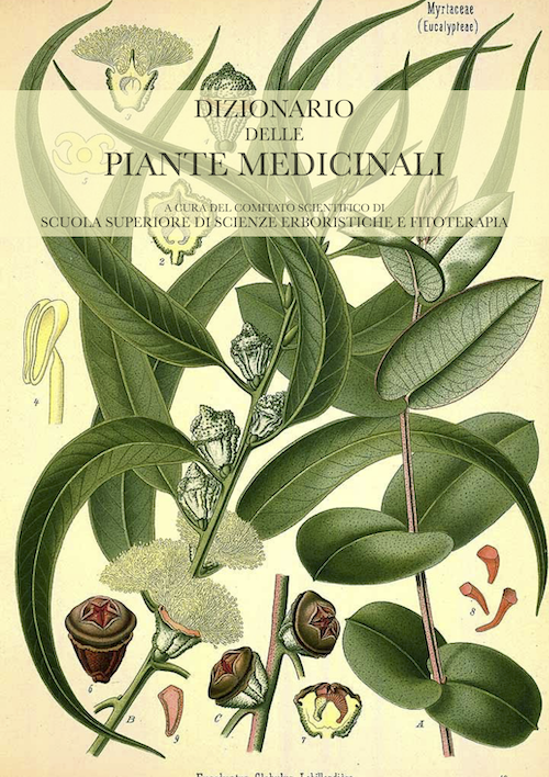 dizionario delle piante medicinali