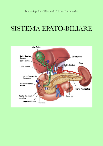 sistema epato-biliare