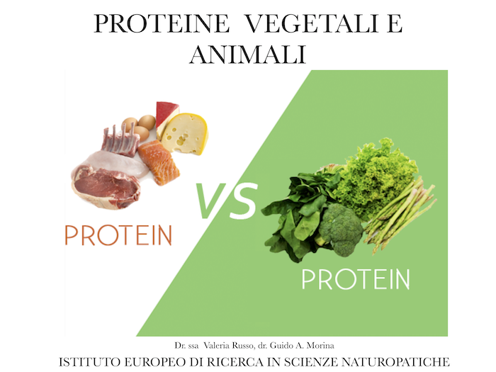proteine vegetali e animali