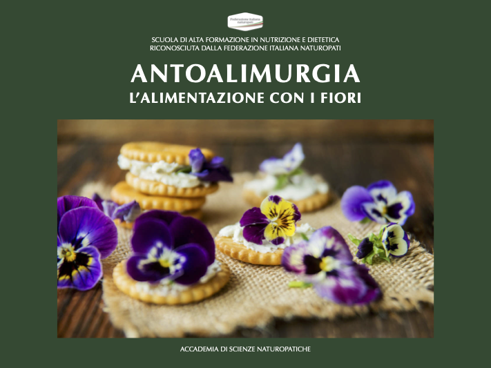 ANTOALIMURGIA
