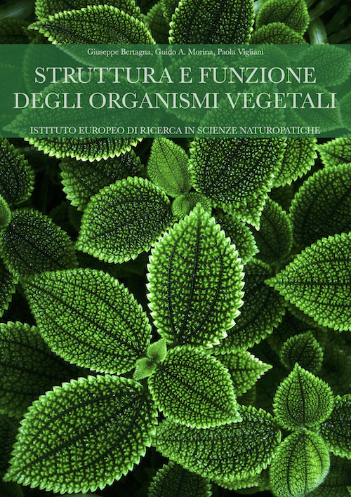 organismi vegetali