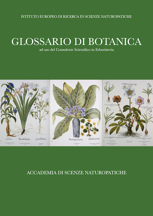 glossario di botanica