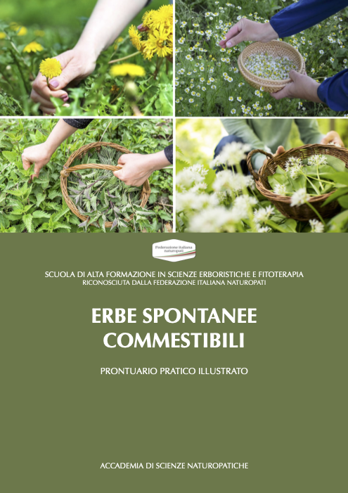 ERBE SPONTANEE COMMESTIBILI