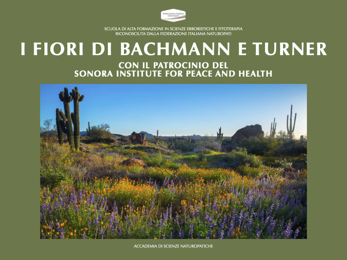 FIORI DI BACHMANN E TURNER