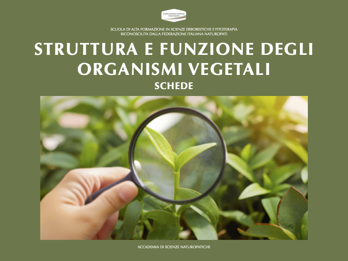 STRUTTURA E FUNZIONE DEGLI ORGANISMI VEGETALI 2