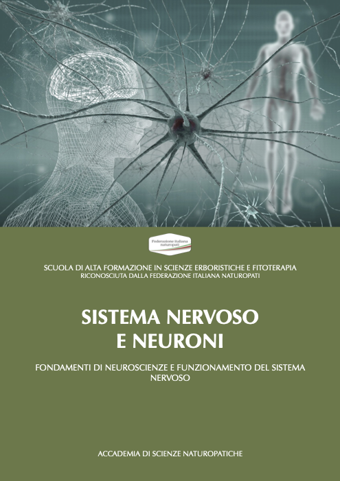 SISTEMA NERVOSO E NEURONI