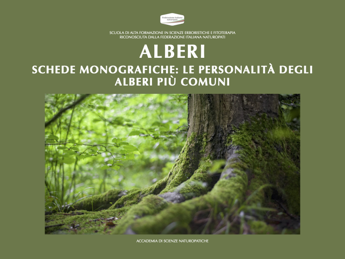 LA PERSONALITÀ DEGLI ALBERI