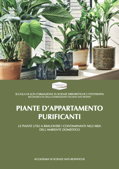 PIANTE PER PURIFICARE LA CASA
