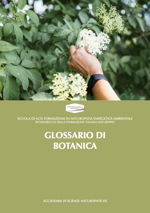 GLOSSARIO DI BOTANICA