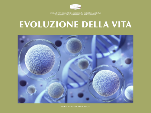 EVOLUZIONE DELLA VITA