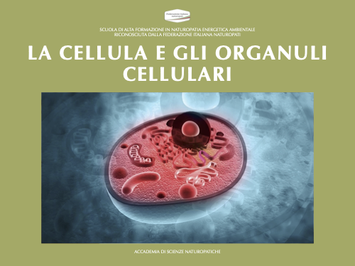 LA CELLULA E GLI ORGANULI CELLULARI