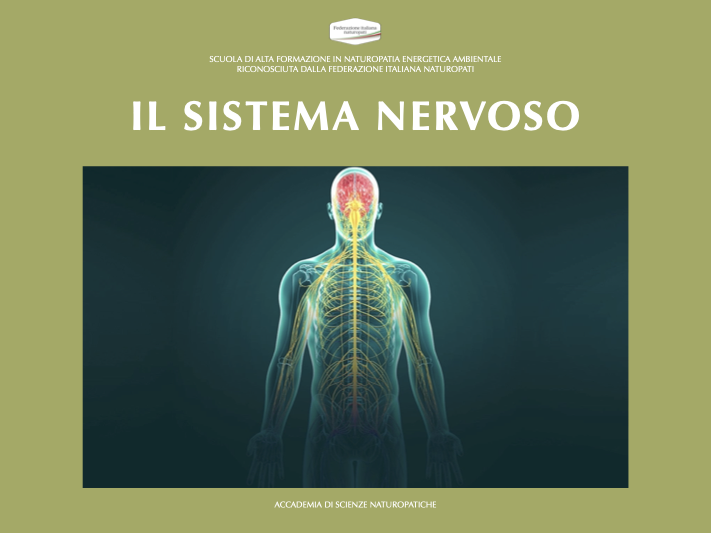 SISTEMA NERVOSO