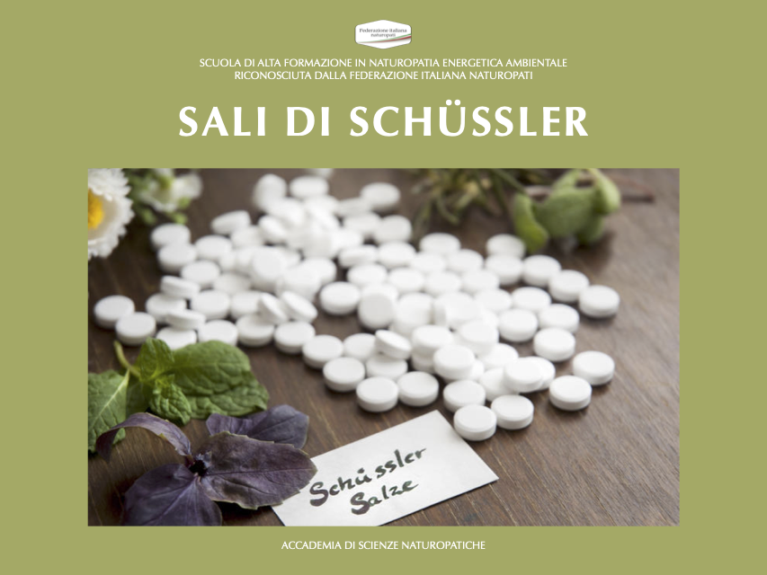 SALI DI SCHÜSSLER