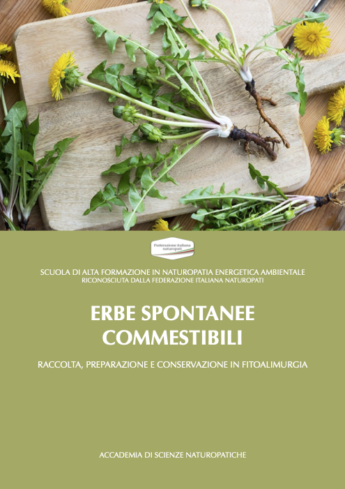 ERBE SPONTANEE COMMESTIBILI