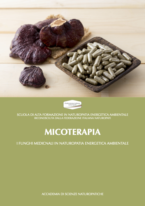 FUNGHI MEDICINALI IN NATUROPATIA ENERGETICA