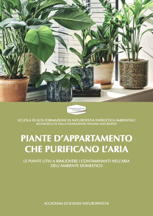 PIANTE PURIFICANTI DA INTERNI