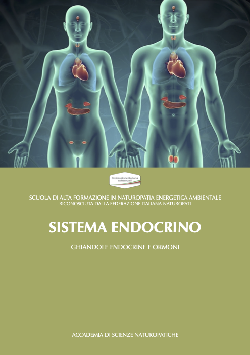 SISTEMA ENDOCRINO