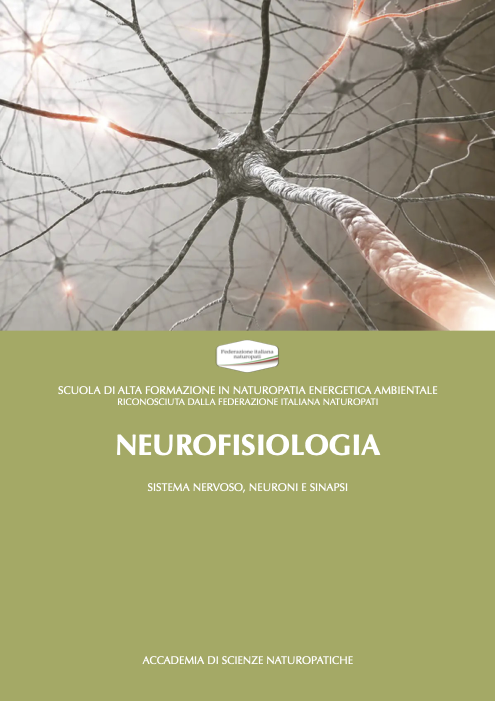 NEUROFISIOLOGIA DI BASE