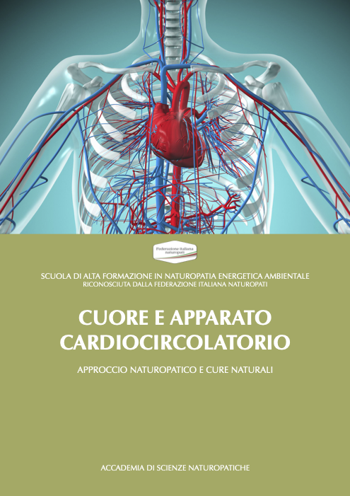 APPARATO CARDIOCIRCOLATORIO