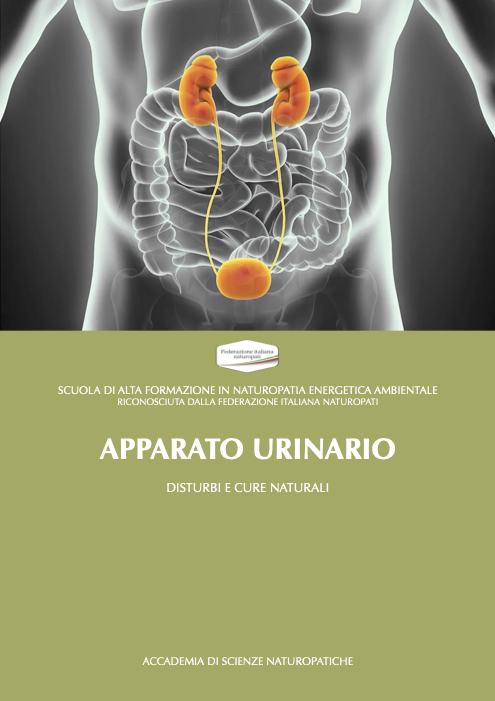 SISTEMA URINARIO E RENALE